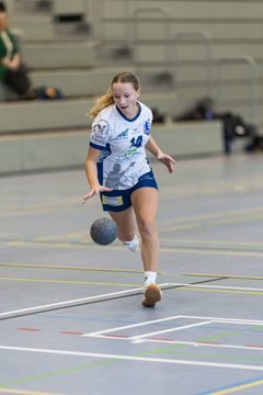 Bild 243 - wBJ HTS/BW96 Handball - Niendorfer TSV : Ergebnis: 27:27